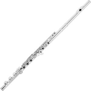 Azumi AZ2SRBEO Flute